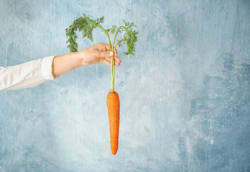 The Beauty of the Rejected and the Quiet Rebellion Against Perfect Food CARROTSThe Beauty of the Rejected and the Quiet Rebellion Against Perfect Food