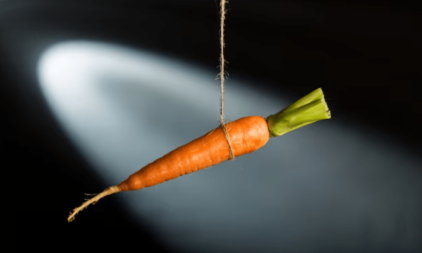 What a Carrot Can Tell Us About Capitalism