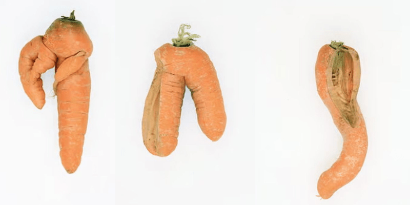 defected carrots by tim smyth