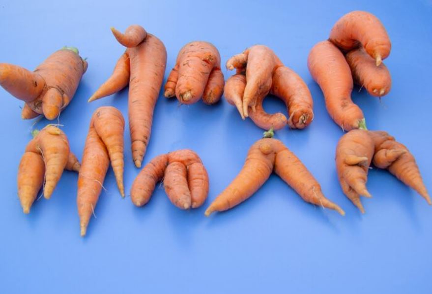 Pile of Misshapen Carrots