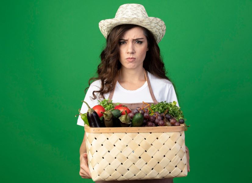 The Beauty of the Unwanted, A Study in Rejected Produce