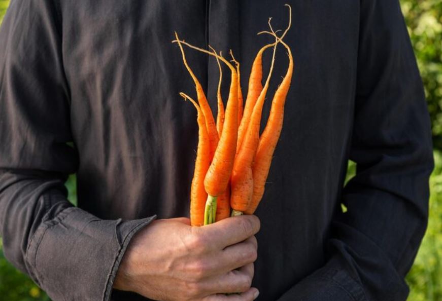 The Strange Link Between Tim Smyth's Carrot Portraits and His Refugee Photography in Spoleto