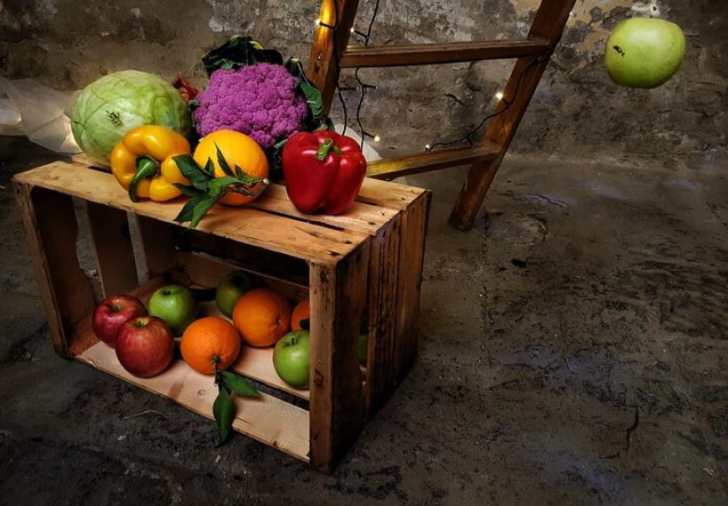Why Tim Smyth Photographs Rejected Vegetables Like Museum Artifacts